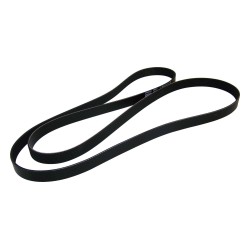 Courroie d'entraînement accessoire 53011097