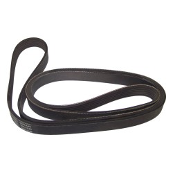 Accessory Drive Belt 53002900