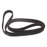Accessory Drive Belt 53002900