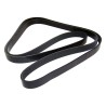 Accessory Drive Belt 53012002