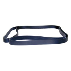Courroie d'entraînement accessoire 53007539