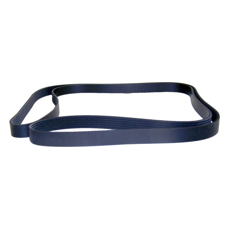Courroie d'entraînement accessoire 53007539