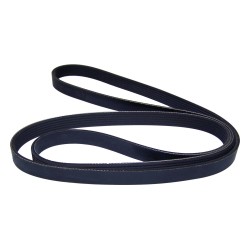 Accessory Drive Belt 53010311