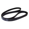 Courroie d'entraînement accessoire 53010234