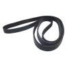 Accessory Drive Belt 5281351AC