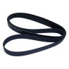 Accessory Drive Belt 4864599