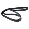 Accessory Drive Belt 53054339