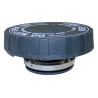 Coolant Bottle Cap 4596198