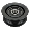 Drive Belt Idler Pulley 68459077AA