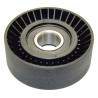 Drive Belt Idler Pulley 4891720AA