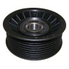 Drive Belt Idler Pulley 53010158P