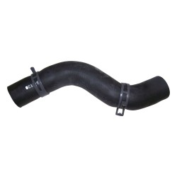 Tuyau de radiateur 55037920AB