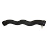 Radiator Hose 55038025AA