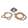 Thermostat -Ref. 83501426