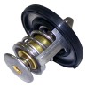 Thermostat 55111016AC
