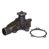Water Pump J8134320