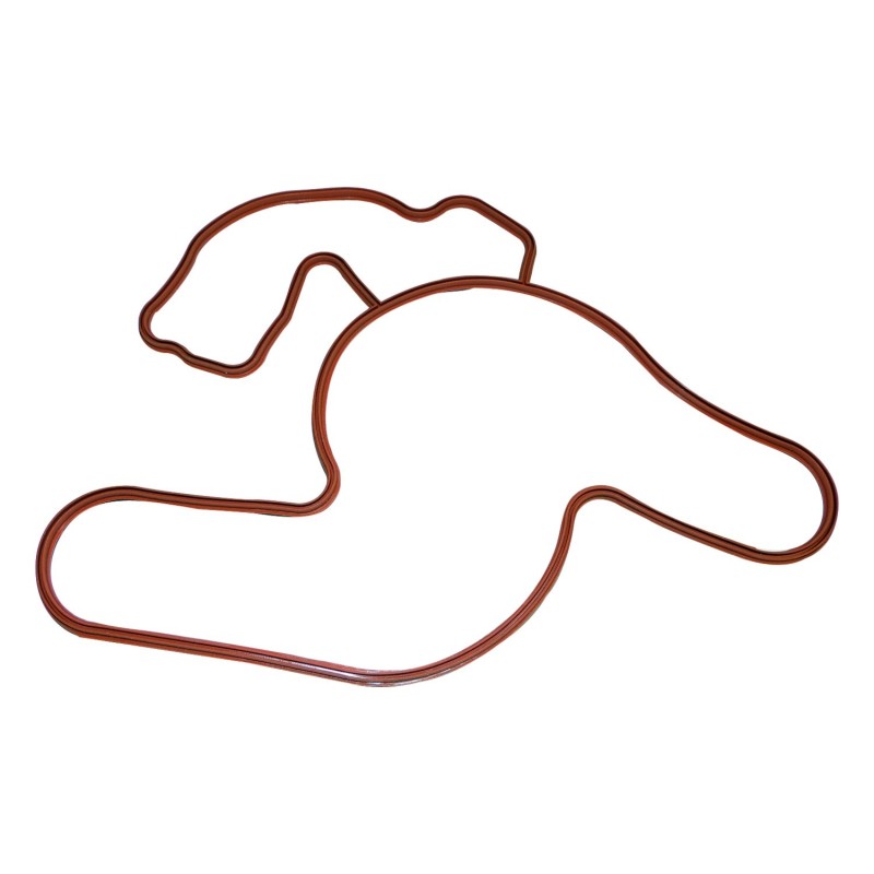 Water Pump Gasket 4792922AA