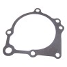 Water Pump Gasket 53010419