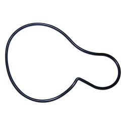 Water Pump Gasket 4621564