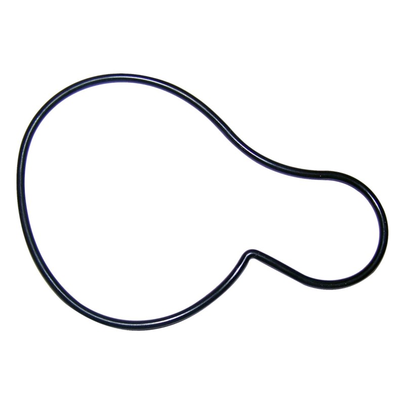 Water Pump Gasket 4621564