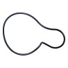 Water Pump Gasket 4621564
