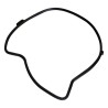 Water Pump Gasket 53020865