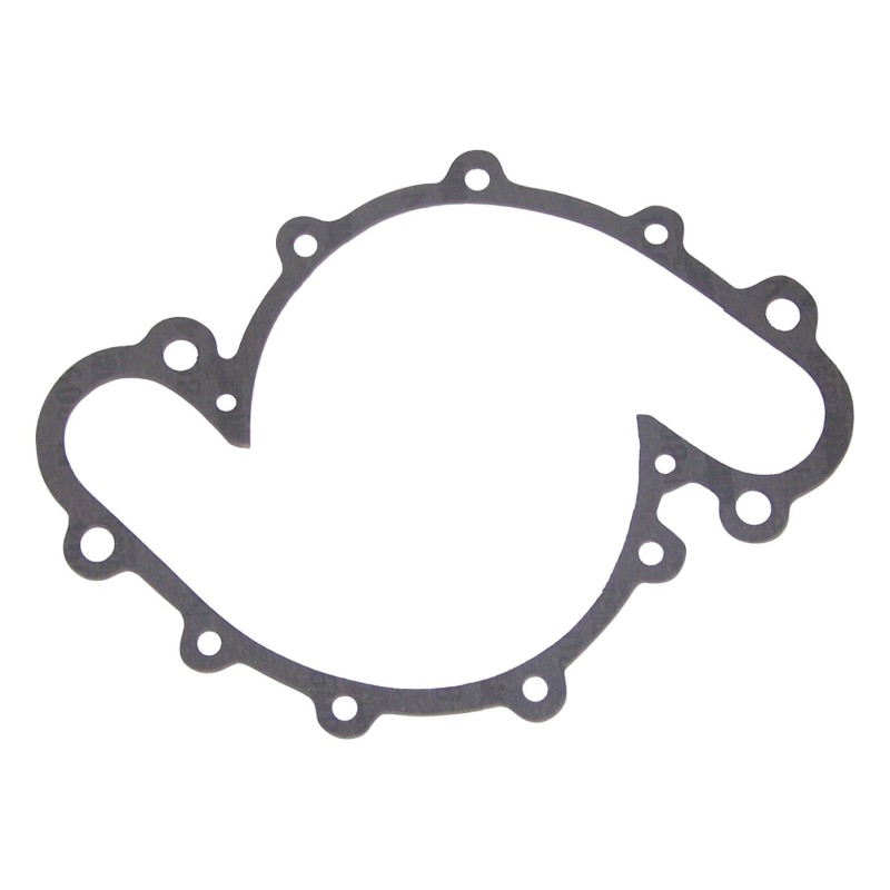 Water Pump Gasket J3181899