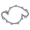 Water Pump Gasket J3181899