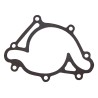 Water Pump Gasket 4483757AB