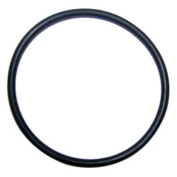 O-Ring 2875923