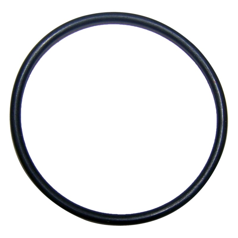 O-Ring 2875923