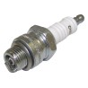 Spark Plug 4339491