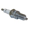 Spark Plug 5213693
