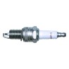 Spark Plug 4318137