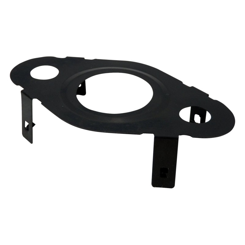 EGR Cooler Gasket 4861965AA