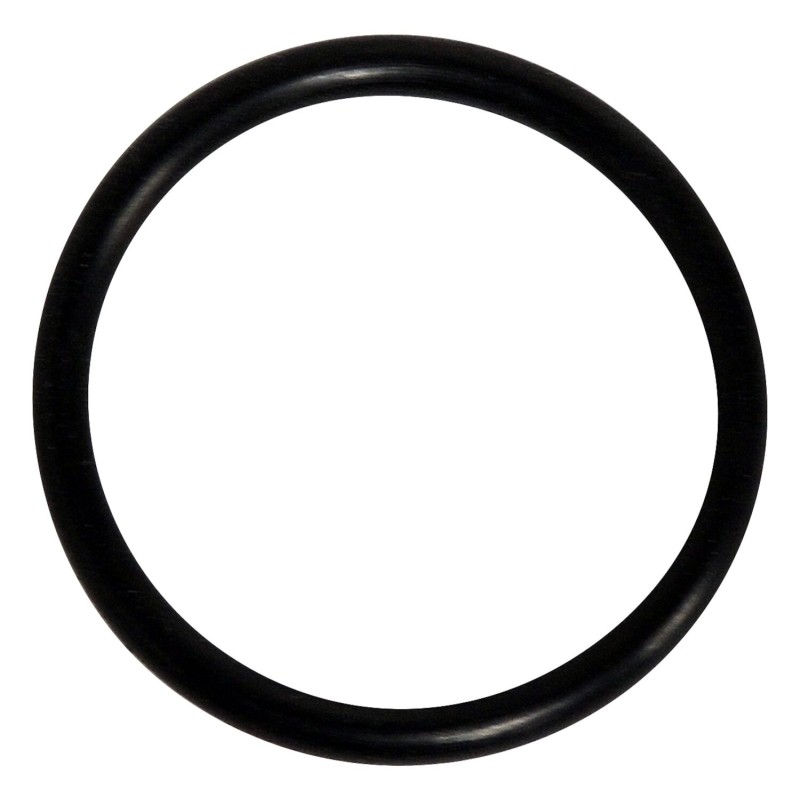 PCV Valve O-Ring 4893446AB