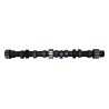 Camshaft J8132249