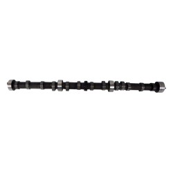 Camshaft J8133009