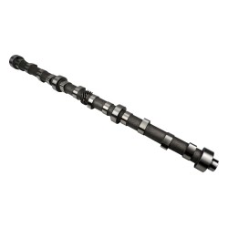 Camshaft 53010448AA