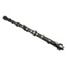 Camshaft 53010448AA