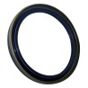 Crankshaft Seal 4621939AB