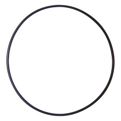Crankshaft Support O-Ring 5066763AA
