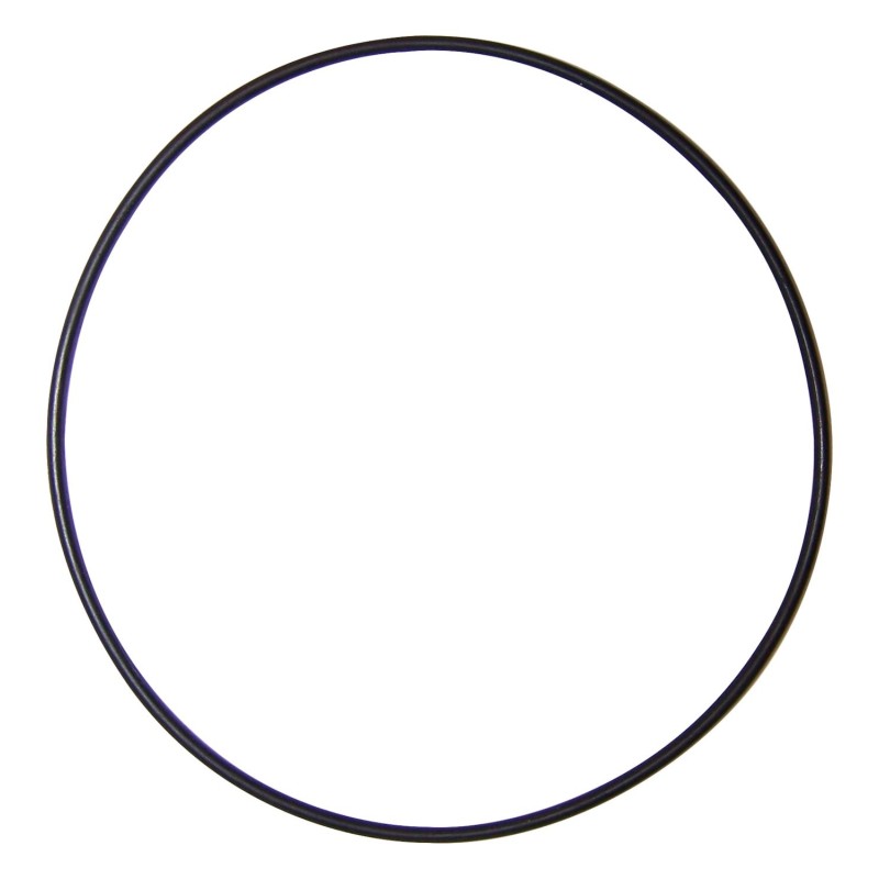 Crankshaft Support O-Ring 5066763AA