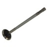 Exhaust Valve 4884690AA