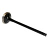 Exhaust Valve 5047069AB