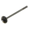 Soupape d'échappement 4781029AB