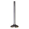 Exhaust Valve 53006724