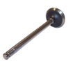 Exhaust Valve 4637539