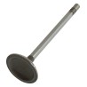 Exhaust Valve 53021644AC