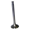 Soupape d'échappement J3218731